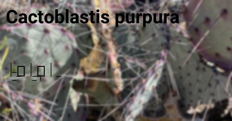 A screenshot of what broke