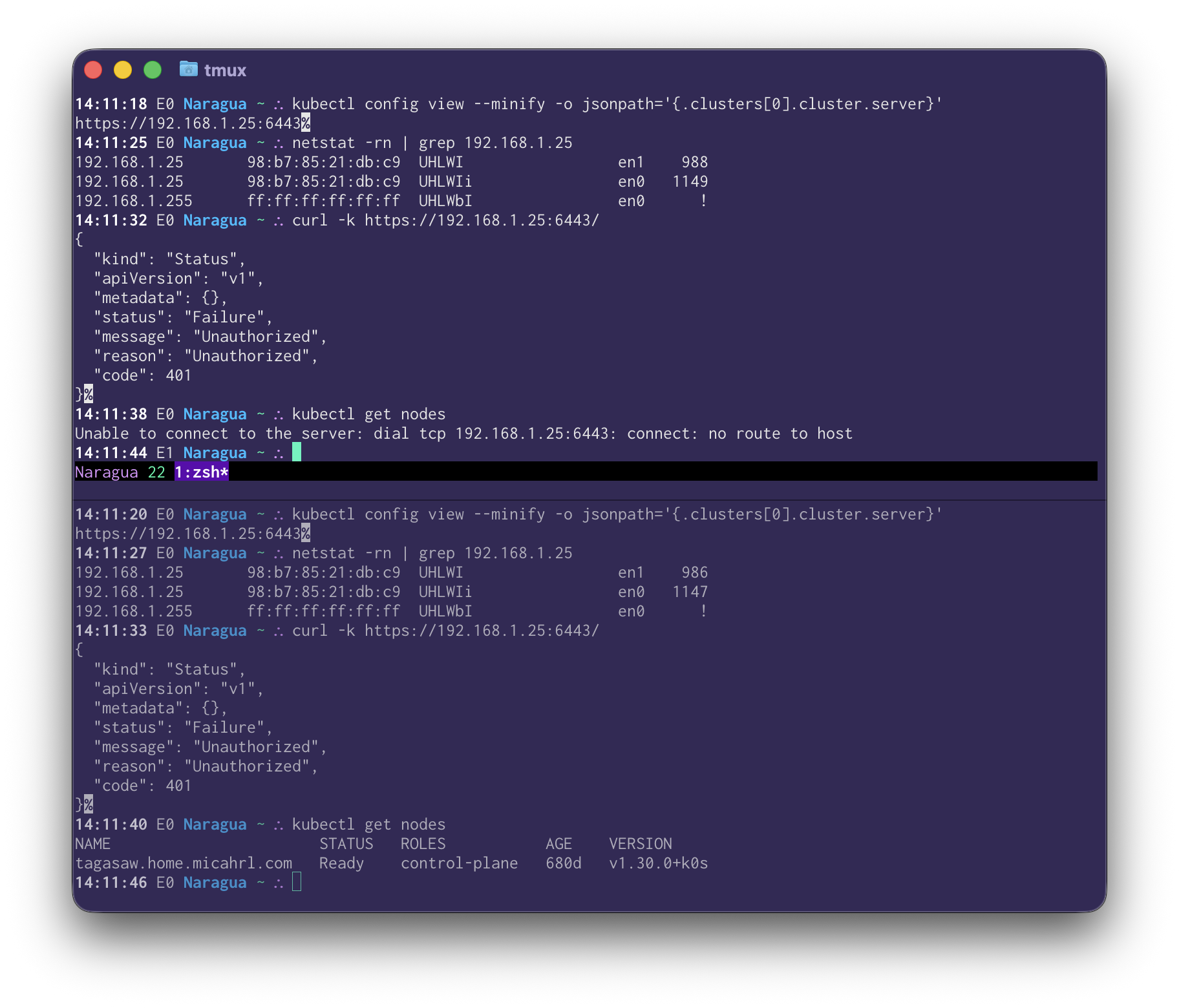 Screenshot of a terminal with two panes, each of which show the kubernetes API endpoint, routes related to that endpoing, and that curl can query it, but the top pane running tmux shows a 'no route to host' error from kubectl, while the bottom panel shows a successful response from kubectl