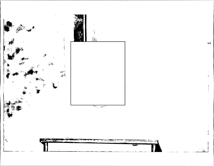 photographs-046.png