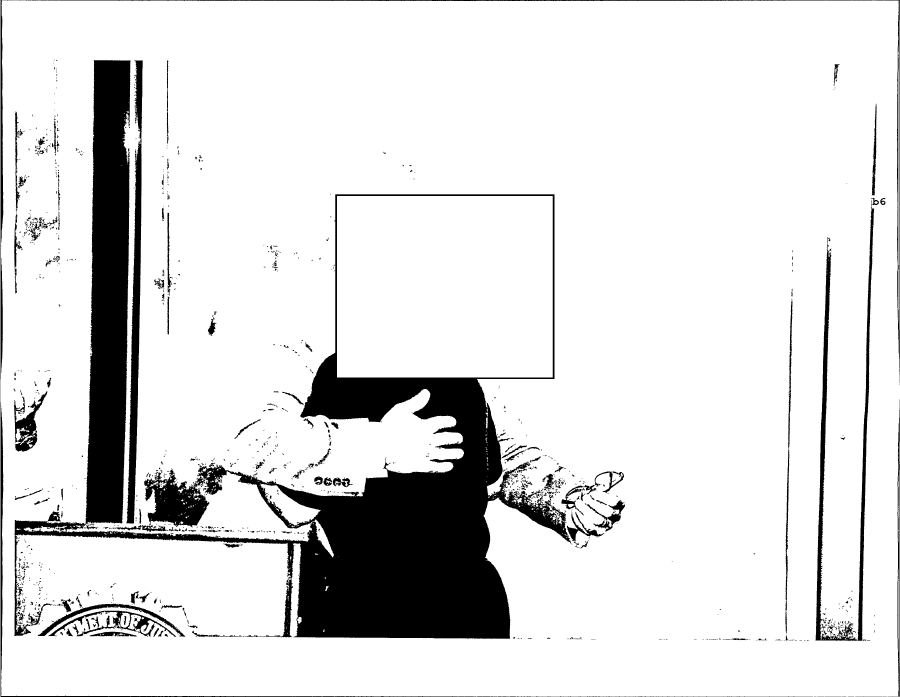 photographs-051.png